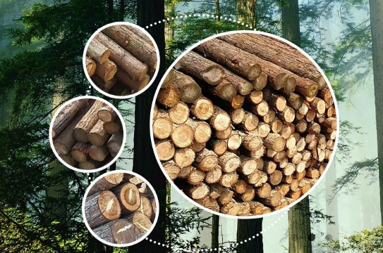 �P(gu��n)���҂�